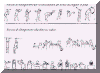 Image35.gif (18842 byte)