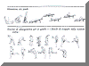 Image37.gif (16986 byte)