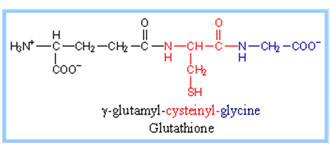 Glutatione